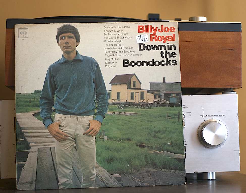 Billy Joe Royal Down In The Boondocks